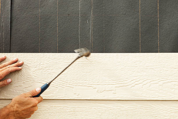 Best Vinyl Siding Installation  in Hopewell, TN